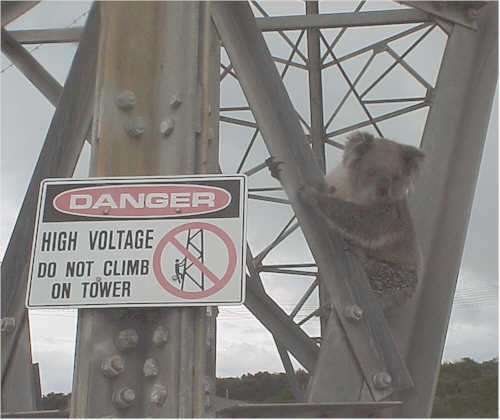 tower-danger