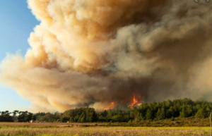 California Wildfires