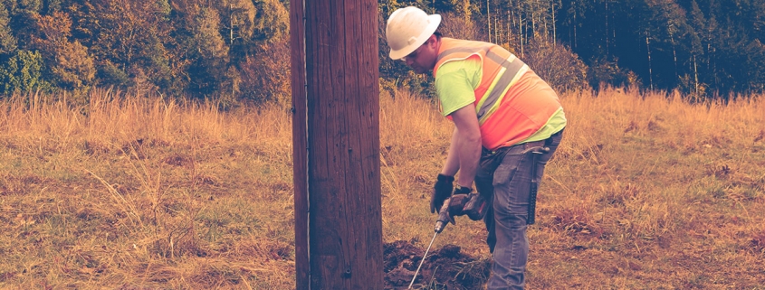 Alamon Utility Services Pole Inspection, Treatment and Reinforcement