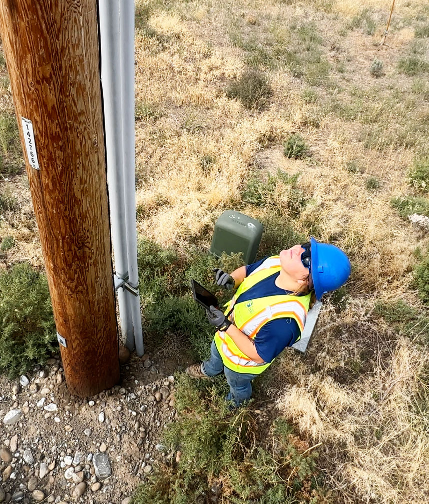 Alamon Utility Services - Pole Loading Analysis