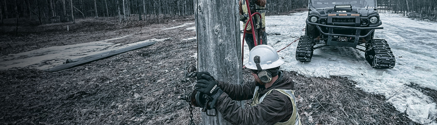 Alamon Utility Pole Reinforcement