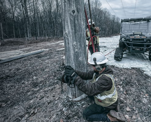 Alamon Utility Pole Reinforcement