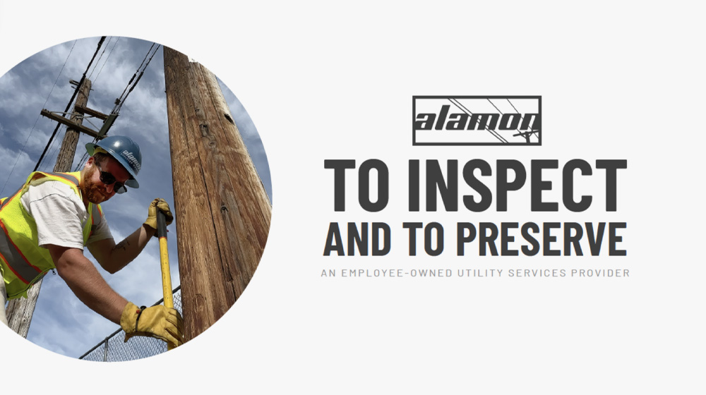 Alamon Utility Services: To Inspect and To Preserve