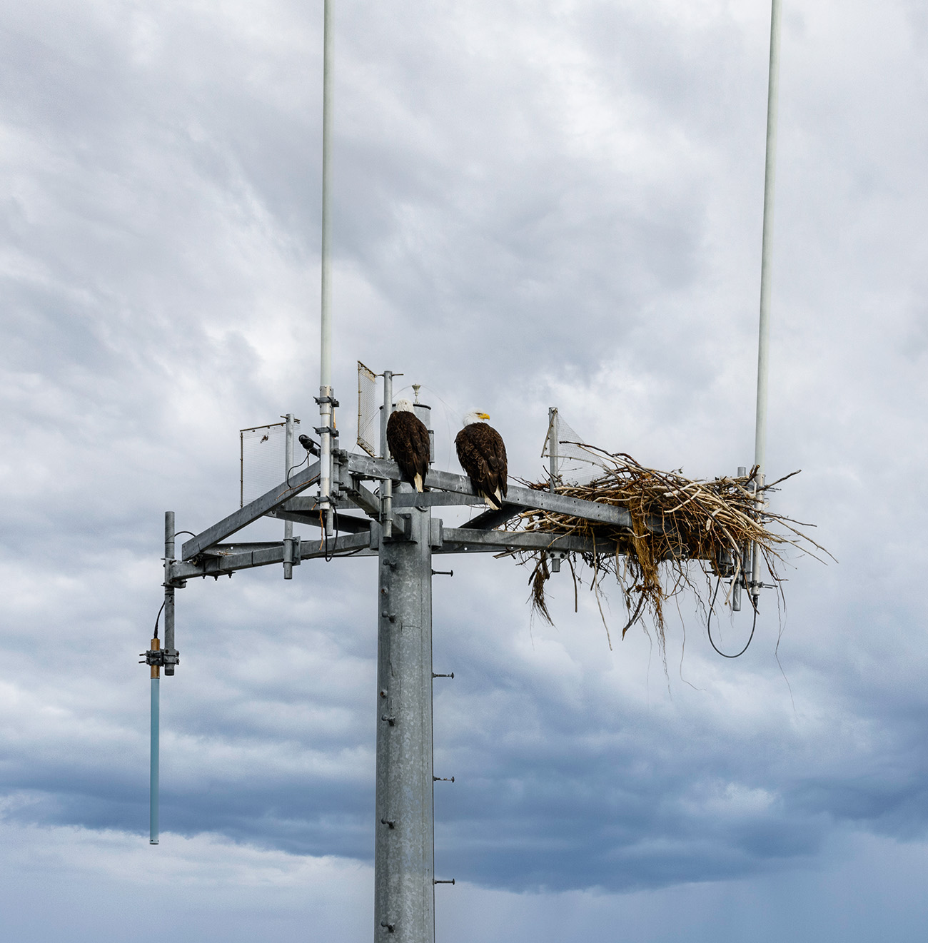 Alamon Wireless Services is Back in Alaska!