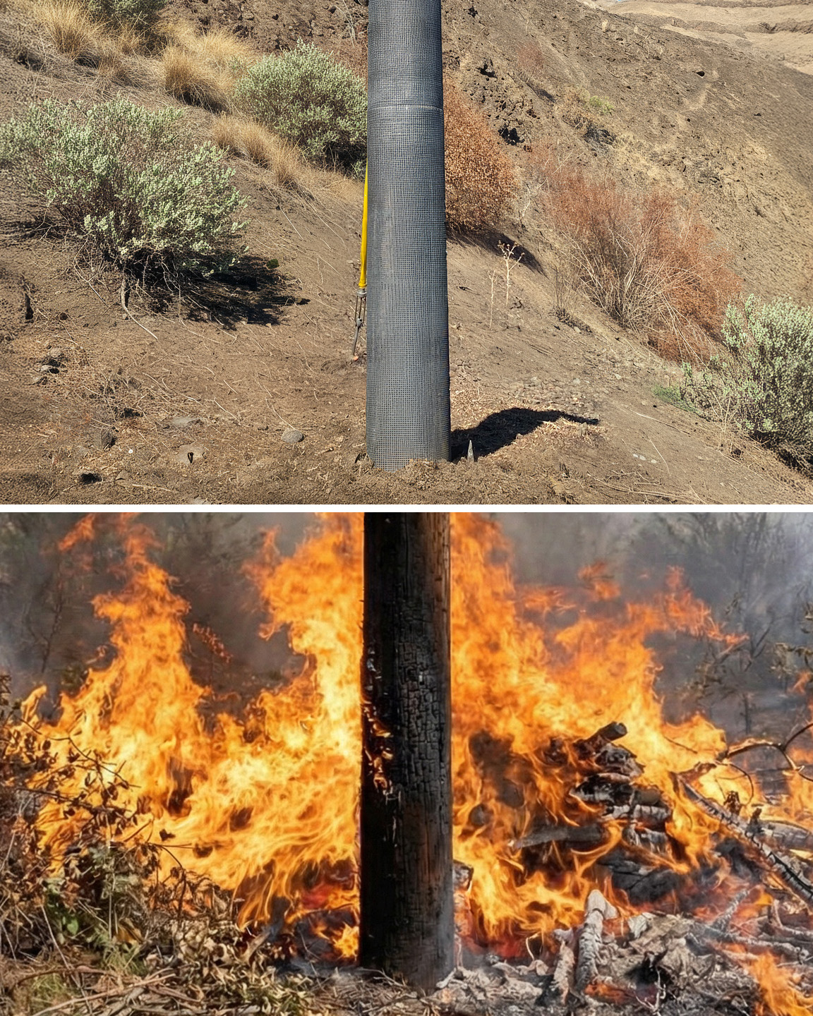 Alamon Wildfire Hardening Services