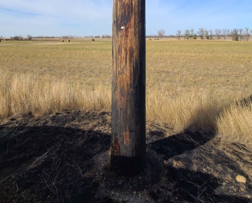 Alamon Utility Services - Wildfire Hardening