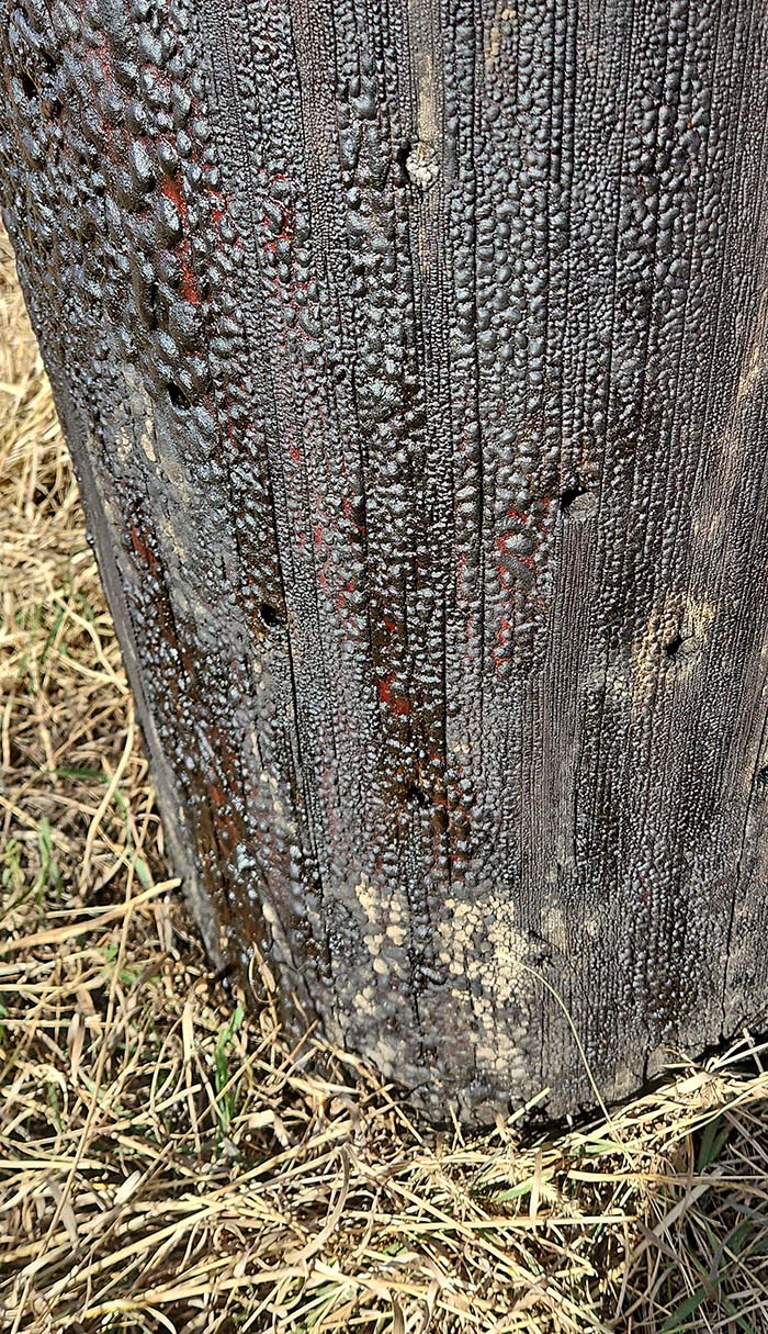 Alamon Utility Services - Wildfire Mitigation