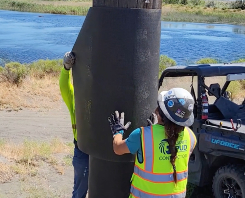 Alamon Utility Services - Utility Pole Wildfire Protection
